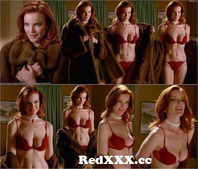 Marcia Cross, Desperate Housewives, 2005
